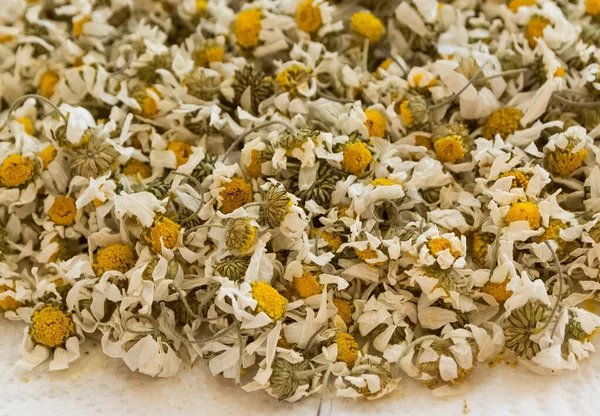 papatya 100 gr 