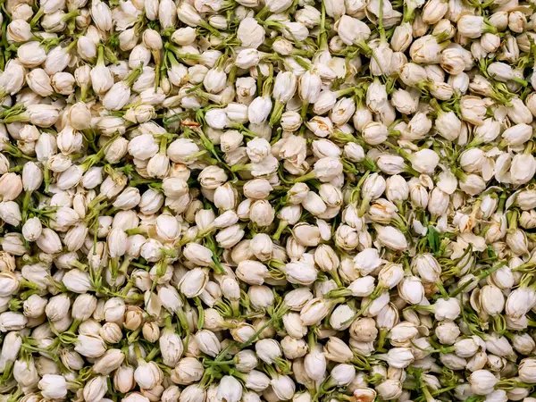 Tomurcuk Yasemin 100 gr 