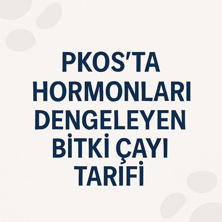 PKOS’ta Hormonları Dengeleyen Bitki Çayı Tarifi