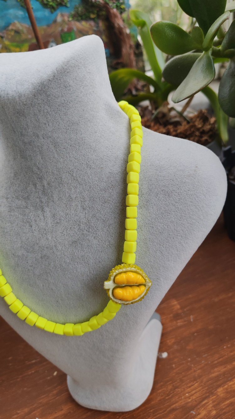 Fimo & Durian