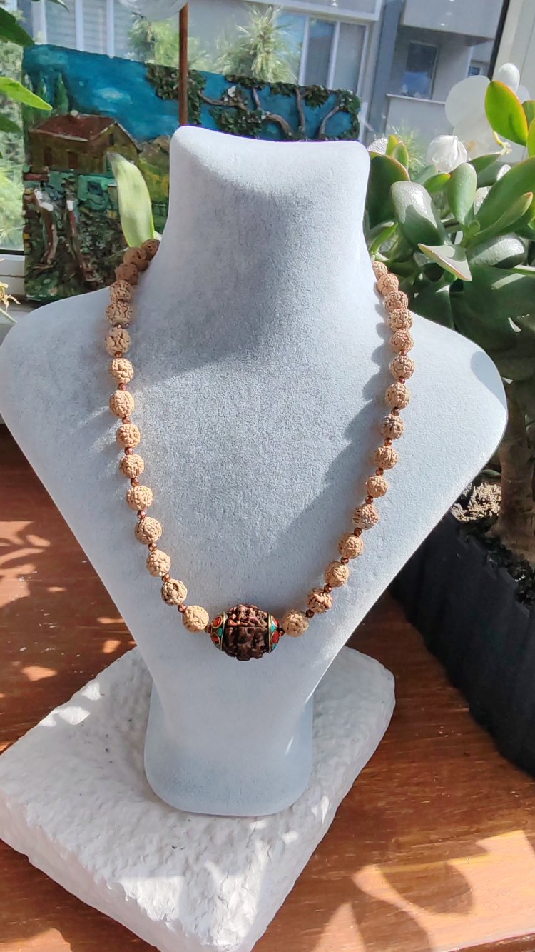 Rudraksha