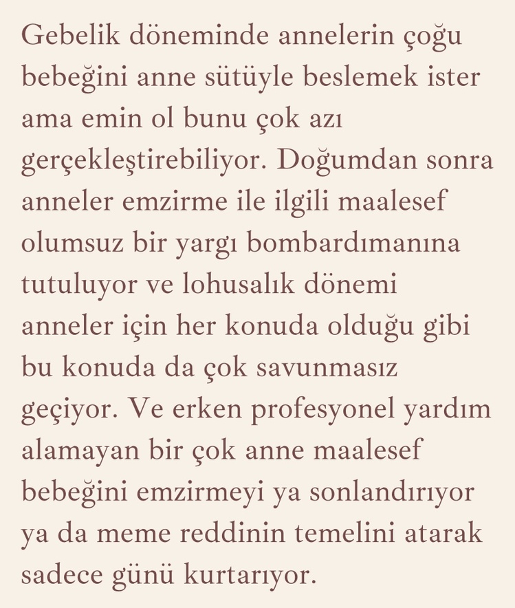 Gebelik Dönemi Emzirme Eğitimi