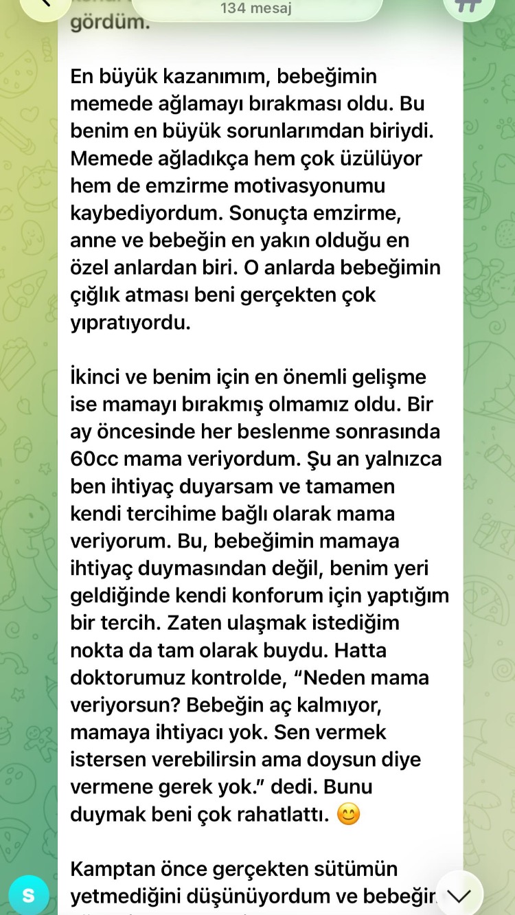 4.Etkin Emzirme Kampı