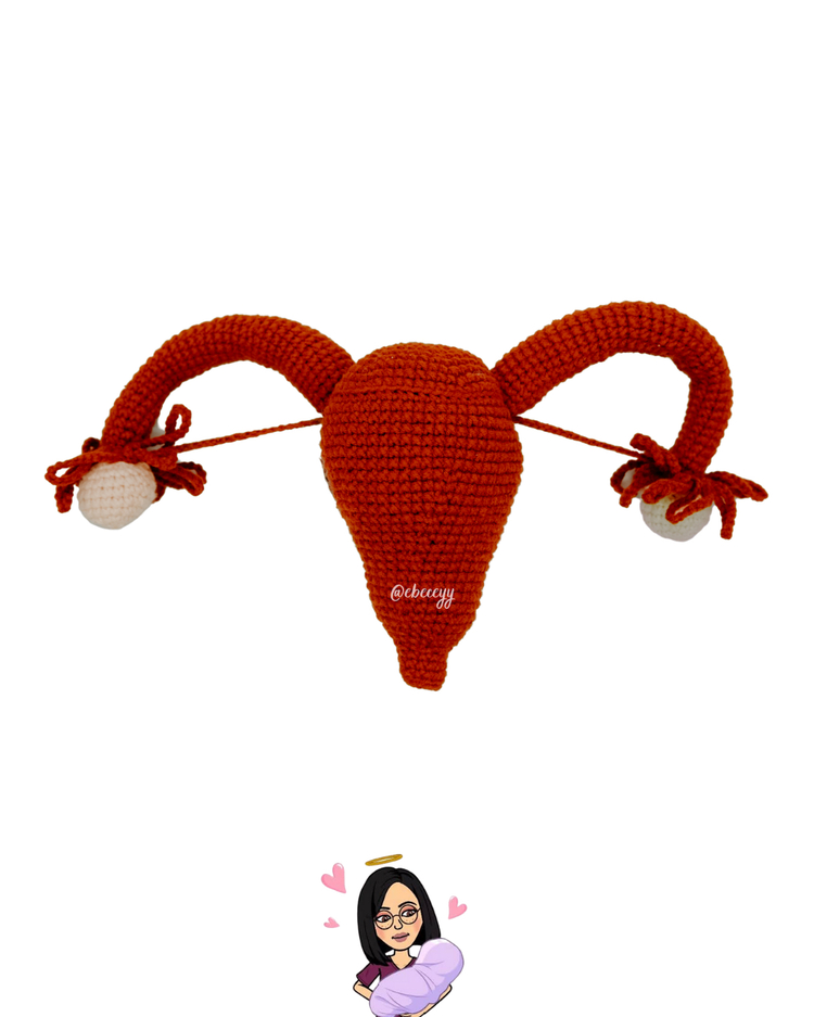 Anatomik Uterus 