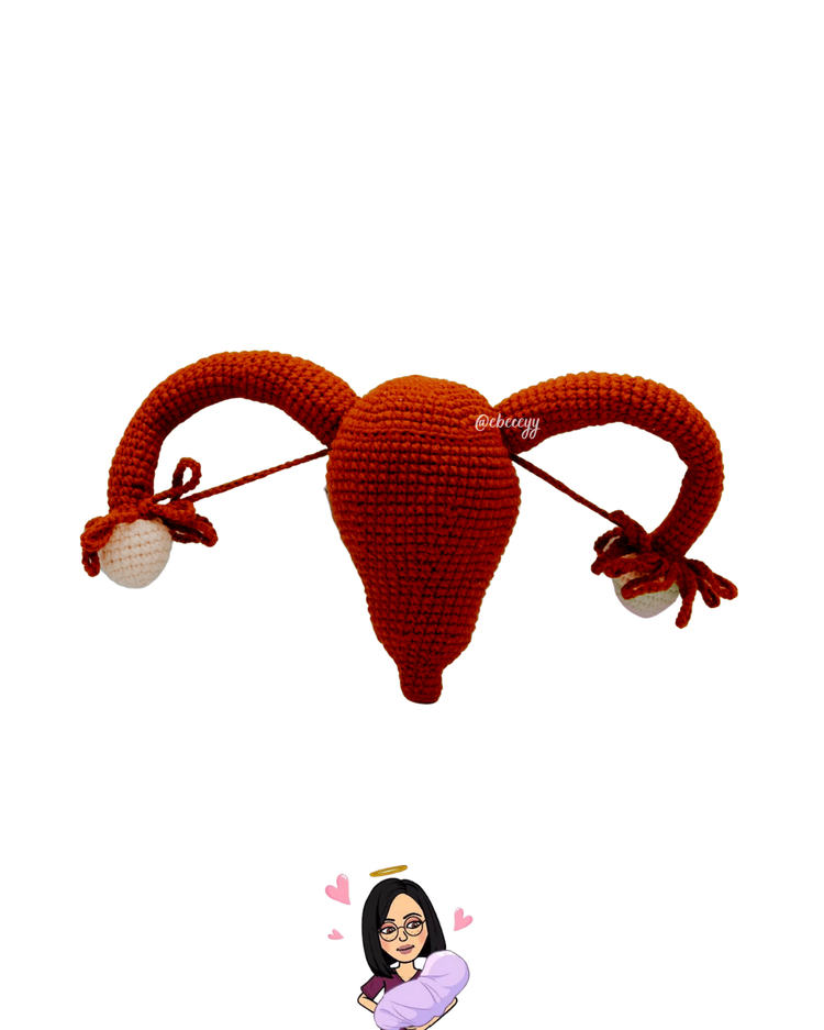 Anatomik Uterus 