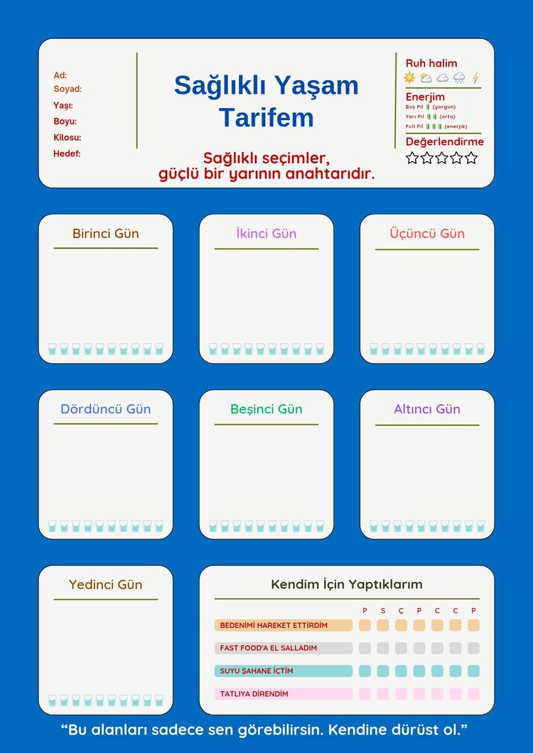 Sağlıklı Yaşam Planlayıcısı (PDF)