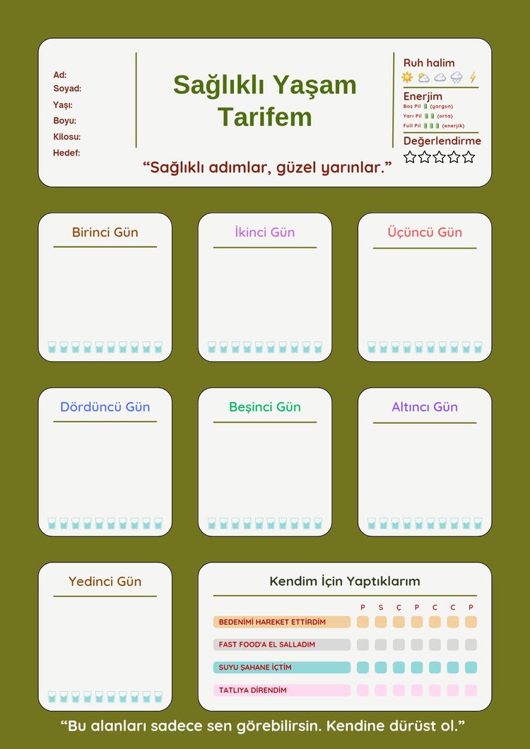 Sağlıklı Yaşam Planlayıcısı (PDF)