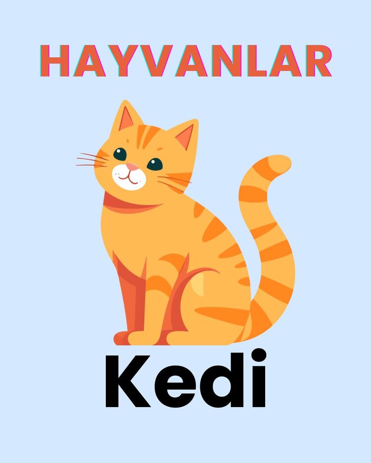 Eğitici Kartlar – Keşfet, Öğren, Eğlen!