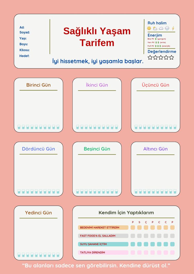 Sağlıklı Yaşam Planlayıcısı (PDF)