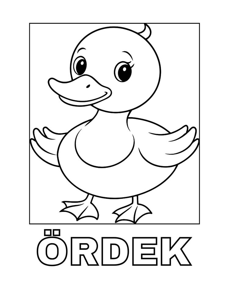  Haydi boyayalım 1 -Hayvanlar Serisi (Örnek Set)