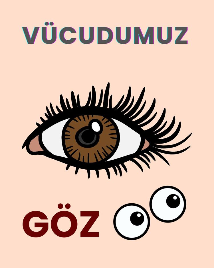 Eğitici Kartlar – Keşfet, Öğren, Eğlen!