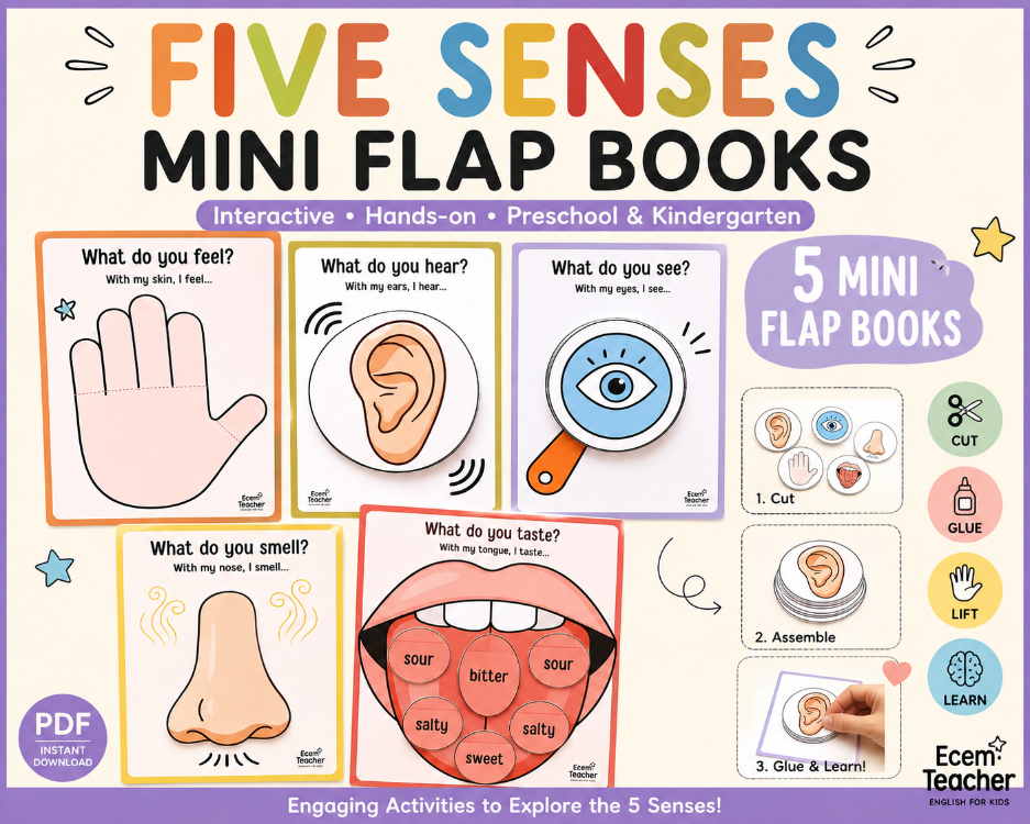 Five Senses Activities for Kids | 5 Senses Preschool Science Craft | Interactive Lift the Flap Mini 