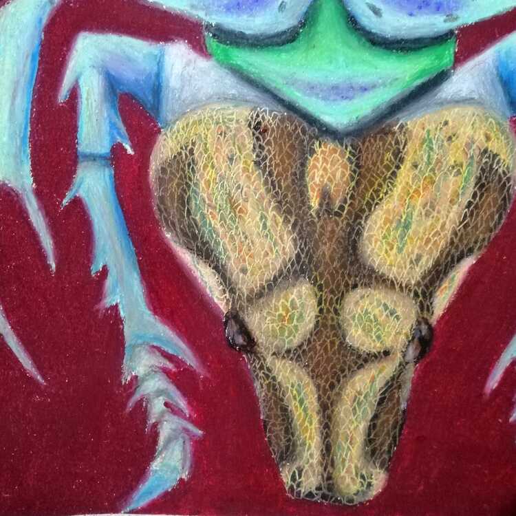 ''The Smoking Beetle?