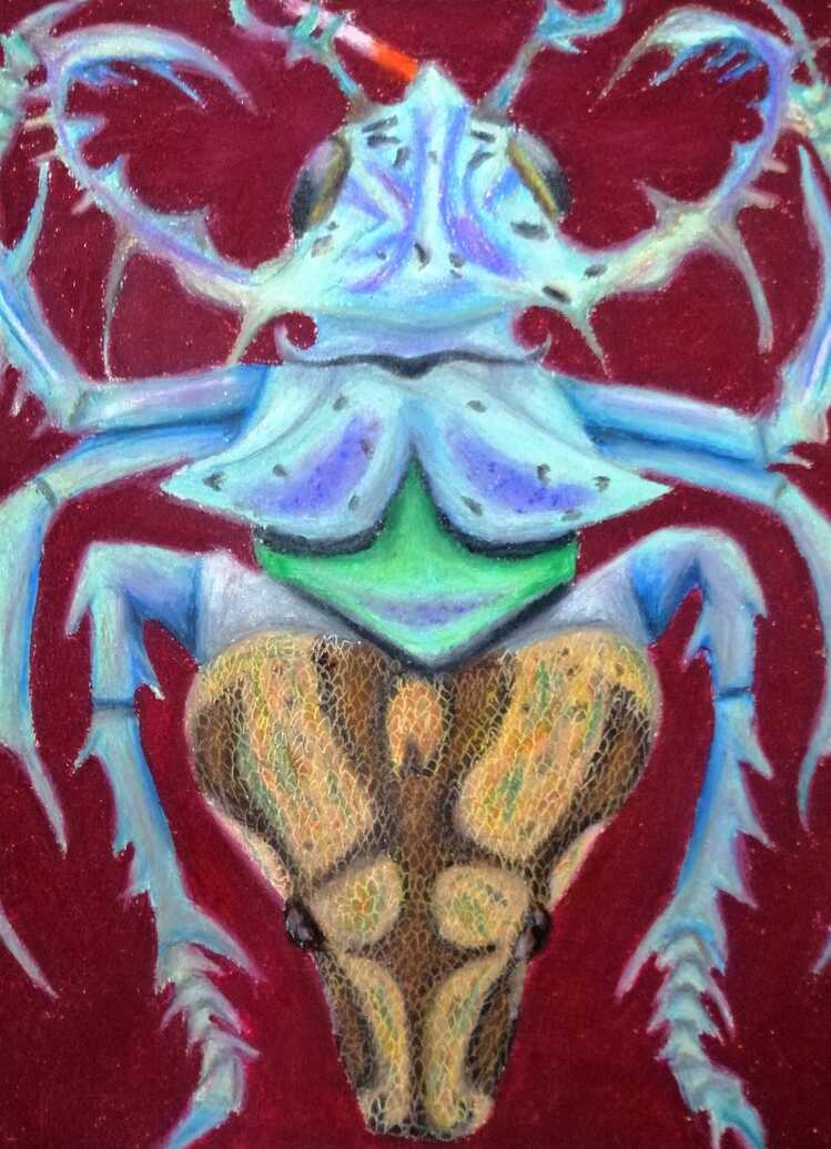''The Smoking Beetle?