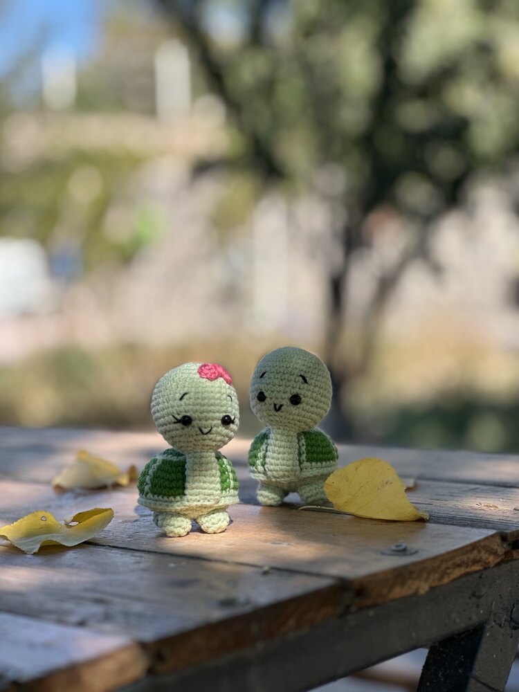 Kaplumbağa Anahtarlık & Masa Süsü
