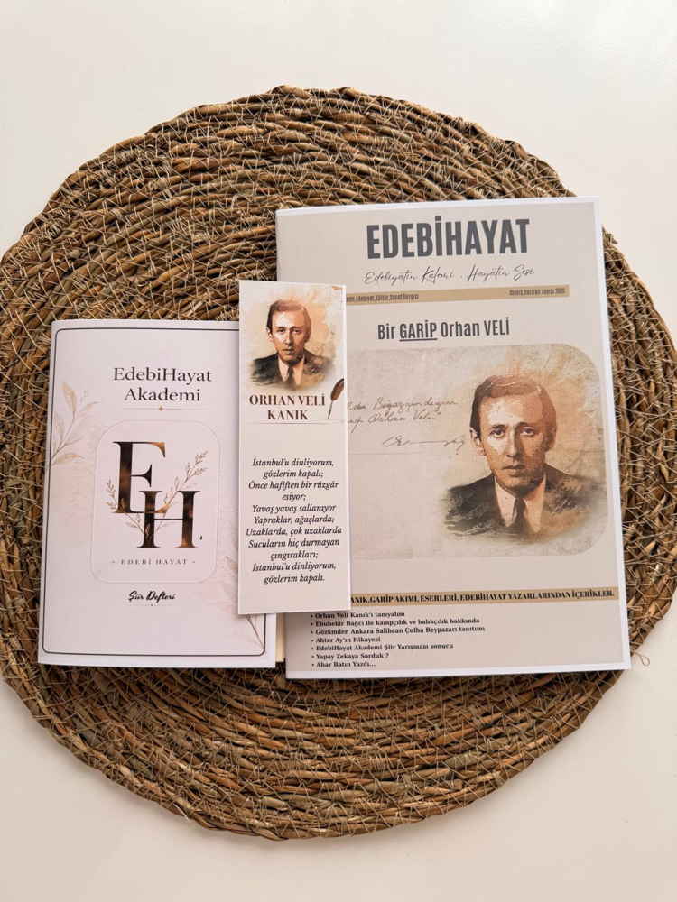 EdebiHayat Akademi Dergisi