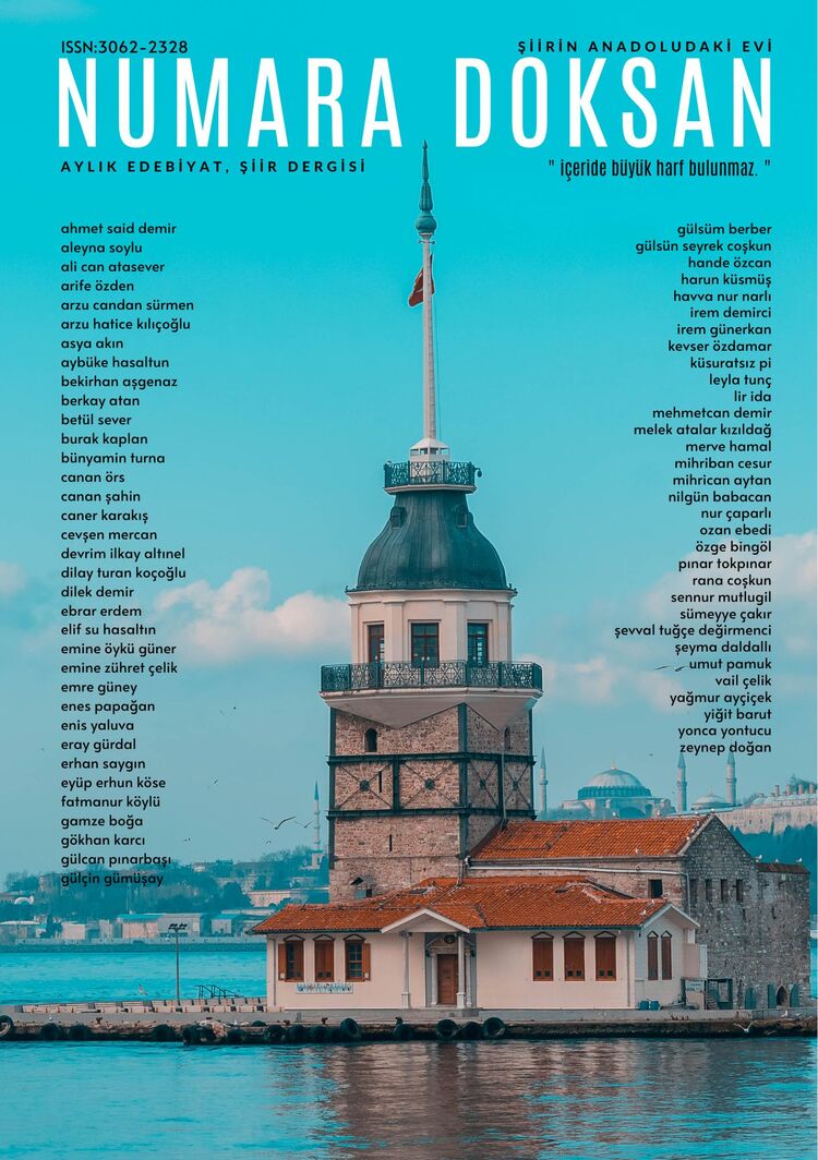 numara doksan #31