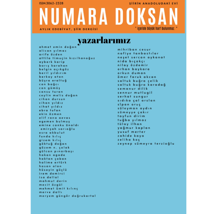 numara doksan 40