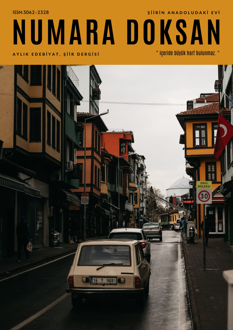 numara doksan 38.sayı