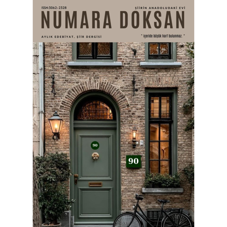 Numara doksan 37.sayı 