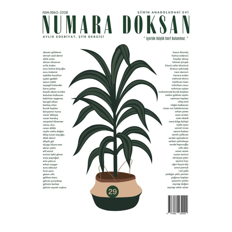 numara doksan #29