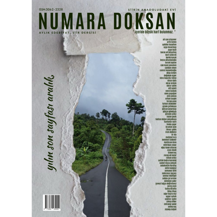 Numara doksan 35.sayı