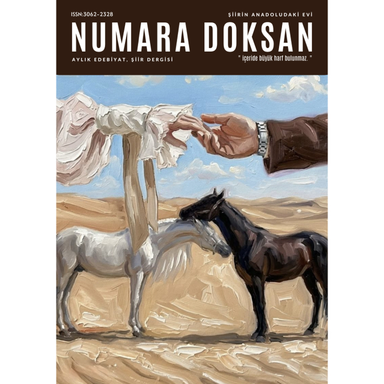 Numara doksan 43. Sayı
