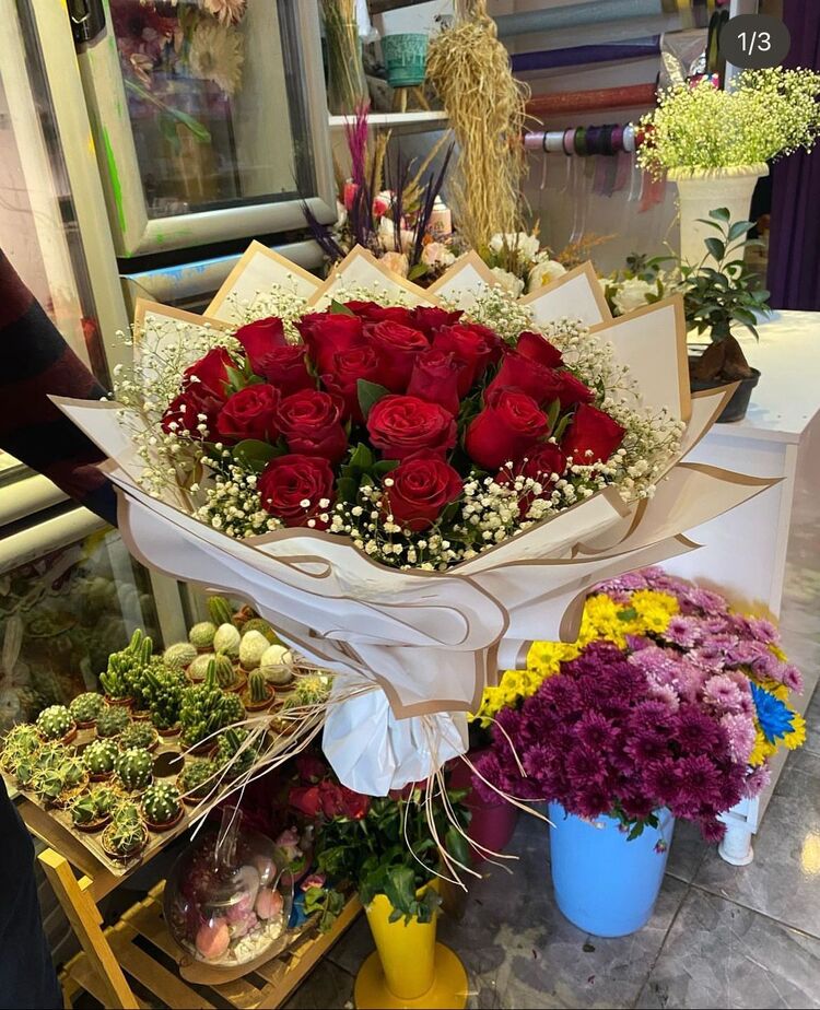 CANLI KIRMIZI GÜL (21 TANE)