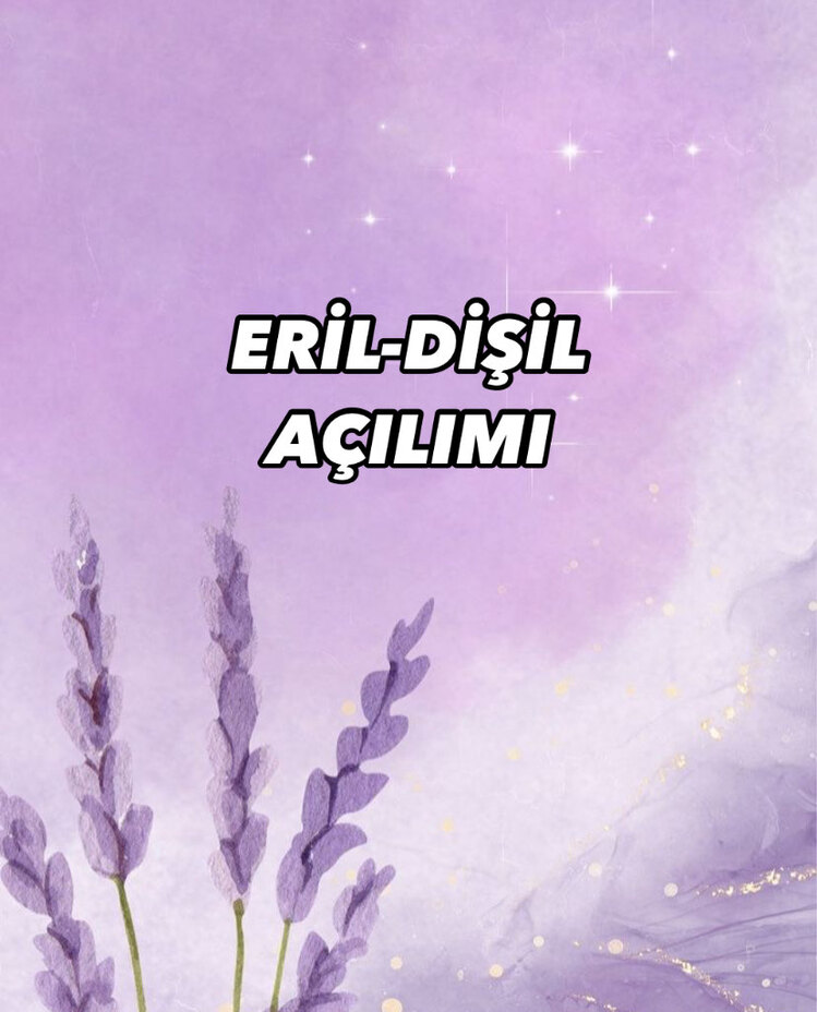 ERİL-DİŞİL AÇILIMI