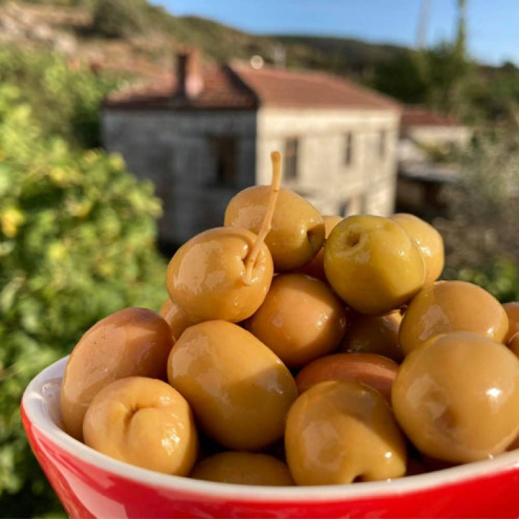 Yeşil Zeytin “İnci Taş Kırma” (500 gr)