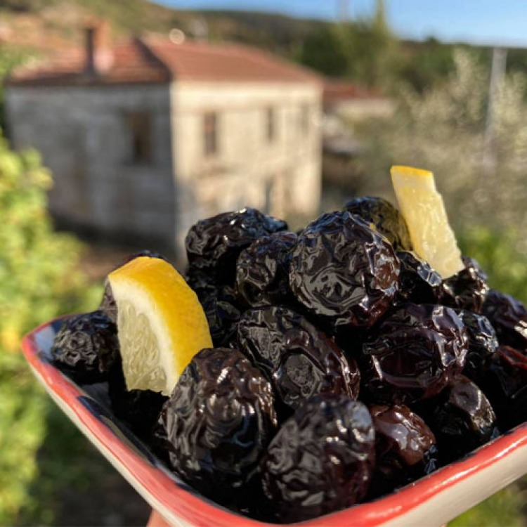 Siyah Zeytin “Güneş – %1 Tuz” (500 gr)