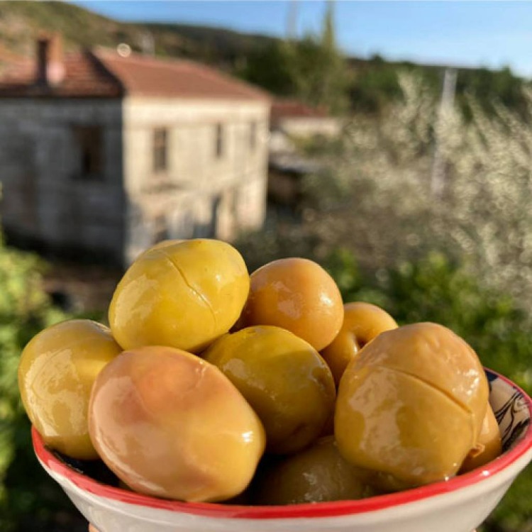 Yeşil Zeytin “Altın Kırma” (500 gr)