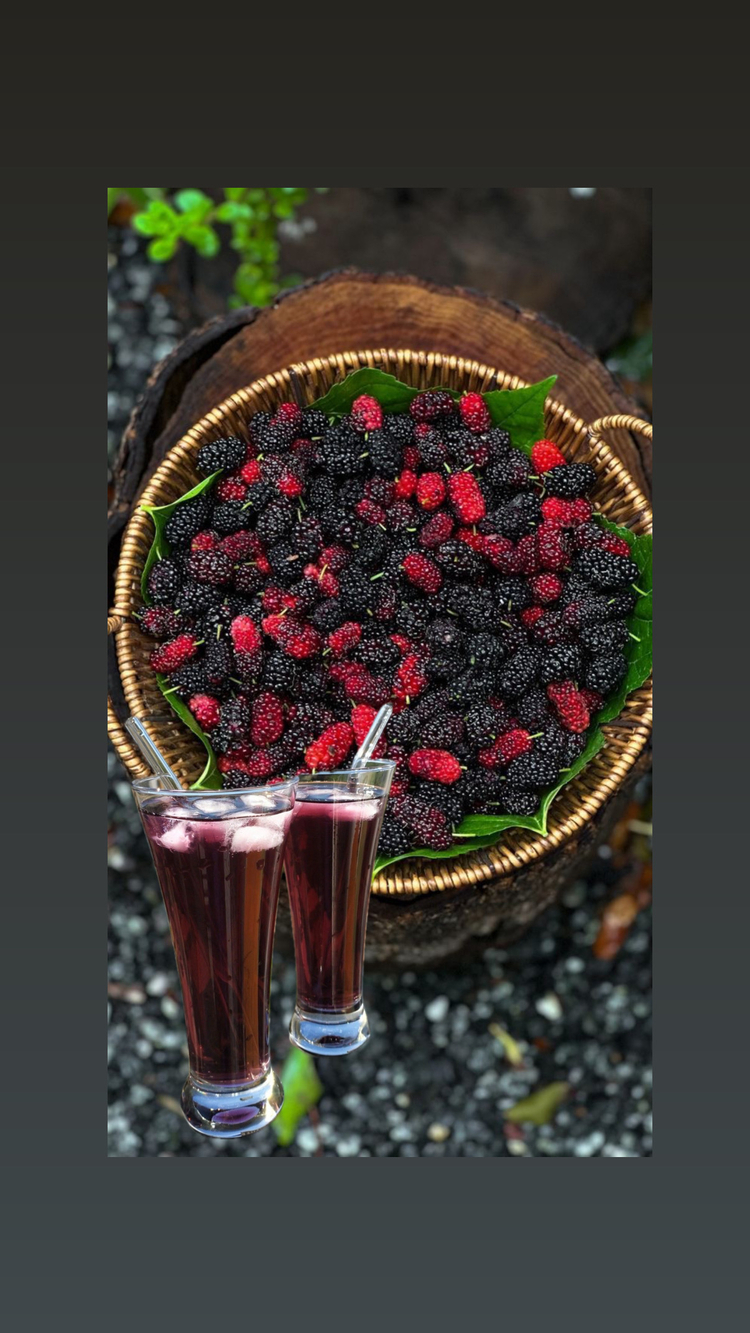 1 kg Karadut şurubu