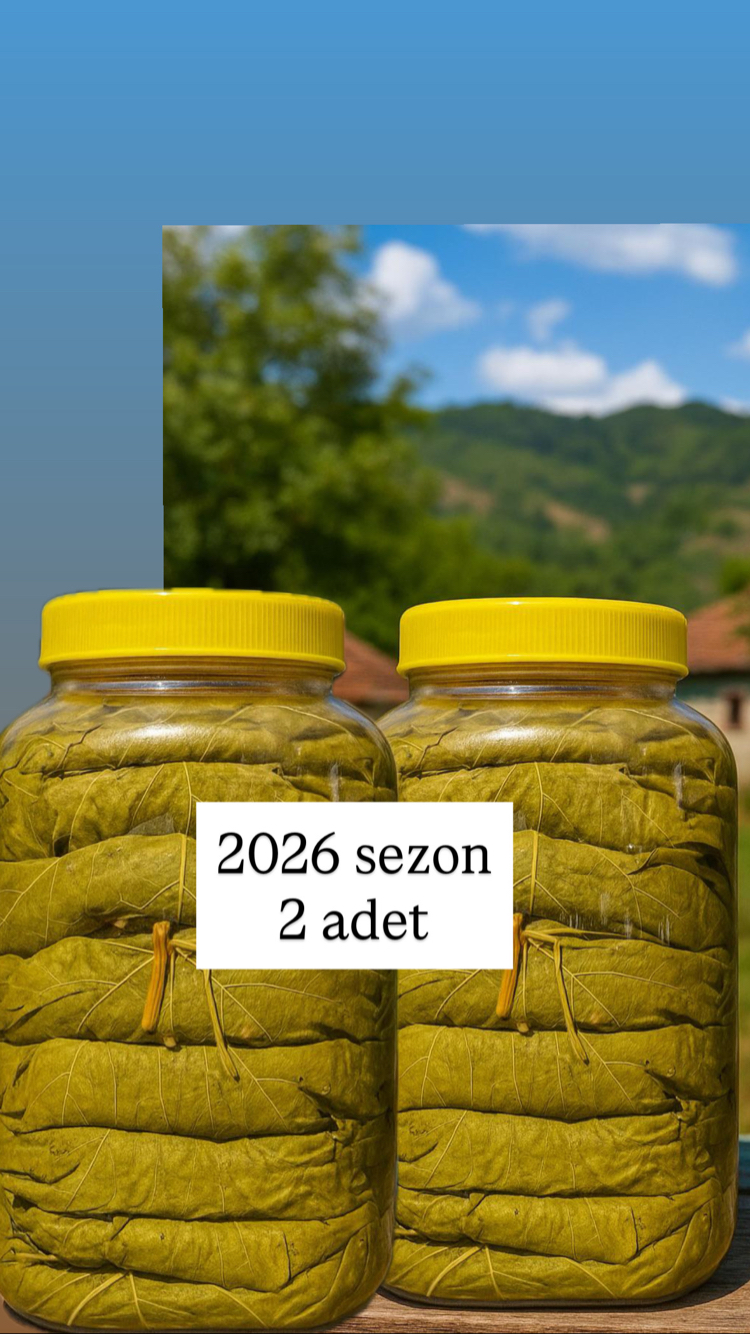 ✅ ✅2 adet bidon (2026) yaprak 