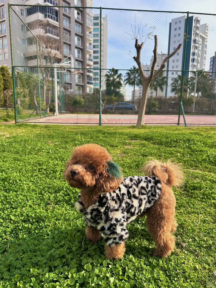 Leopar Desenli Premium Kürk