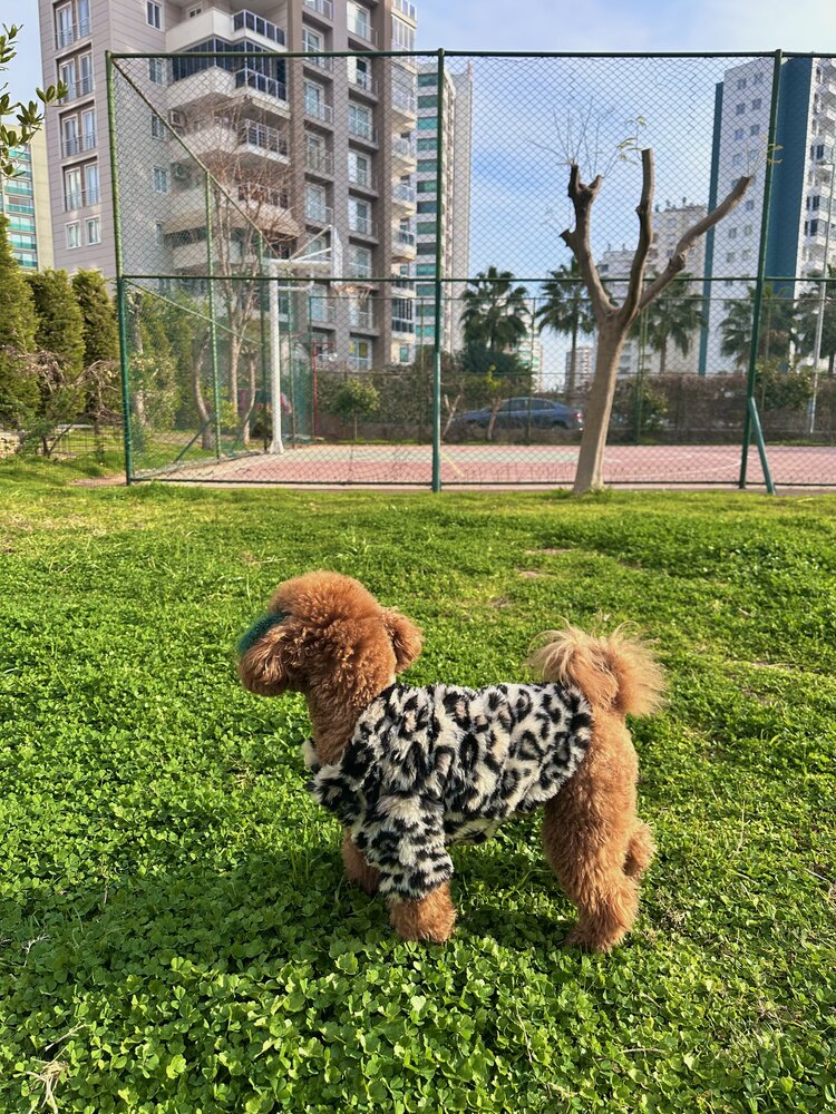 Leopar Desenli Premium Kürk