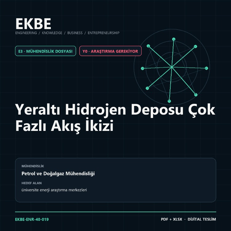 Yeraltı Hidrojen Deposu Çok Fazlı Akış İkizi