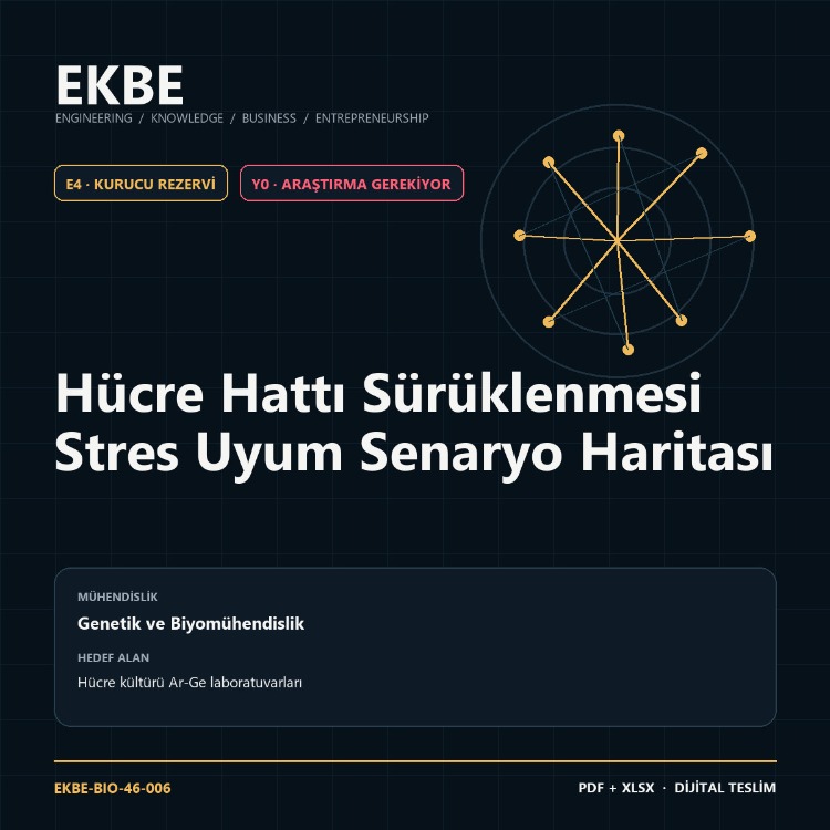 Hücre Hattı Sürüklenmesi Stres Uyum Senaryo Haritası