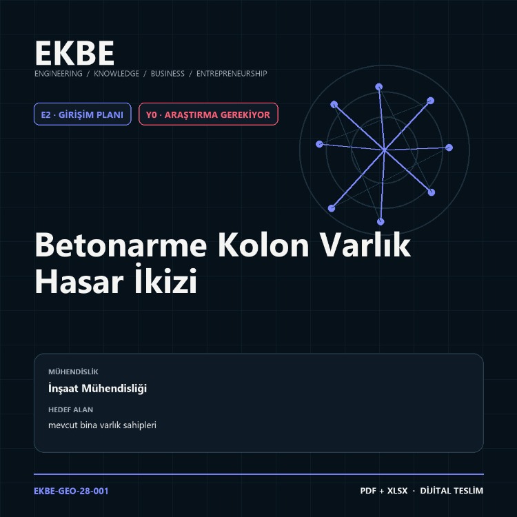 Betonarme Kolon Varlık Hasar İkizi