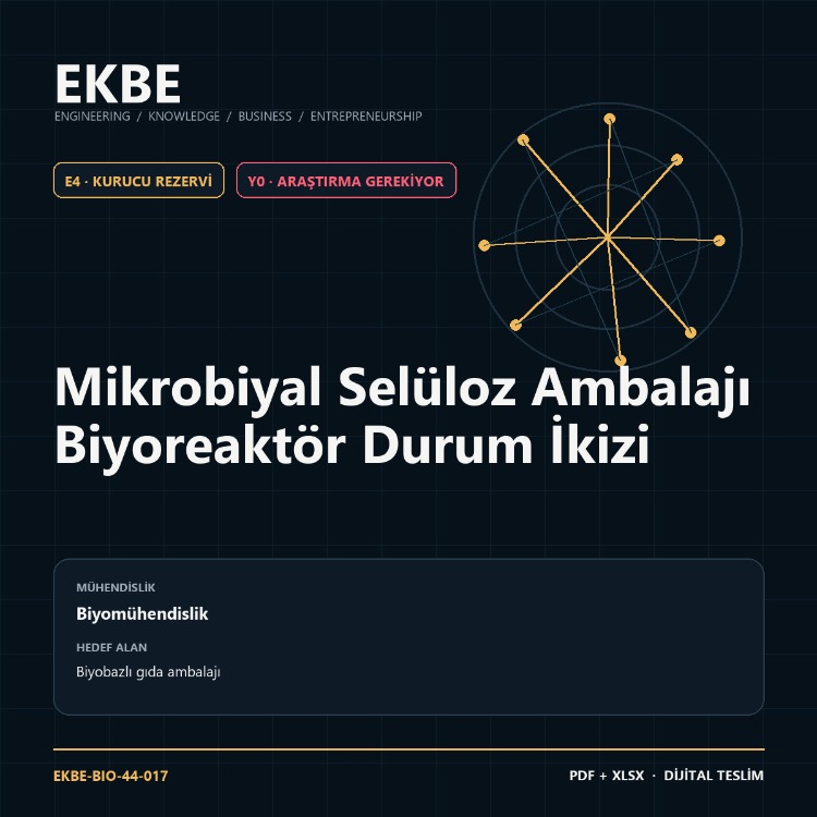 Mikrobiyal Selüloz Ambalajı Biyoreaktör Durum İkizi