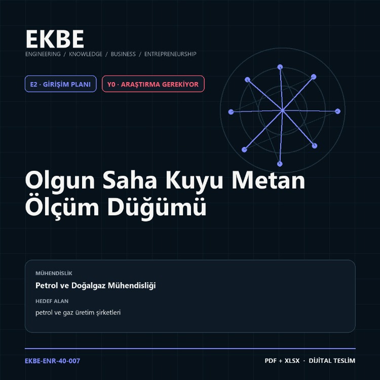 Olgun Saha Kuyu Metan Ölçüm Düğümü