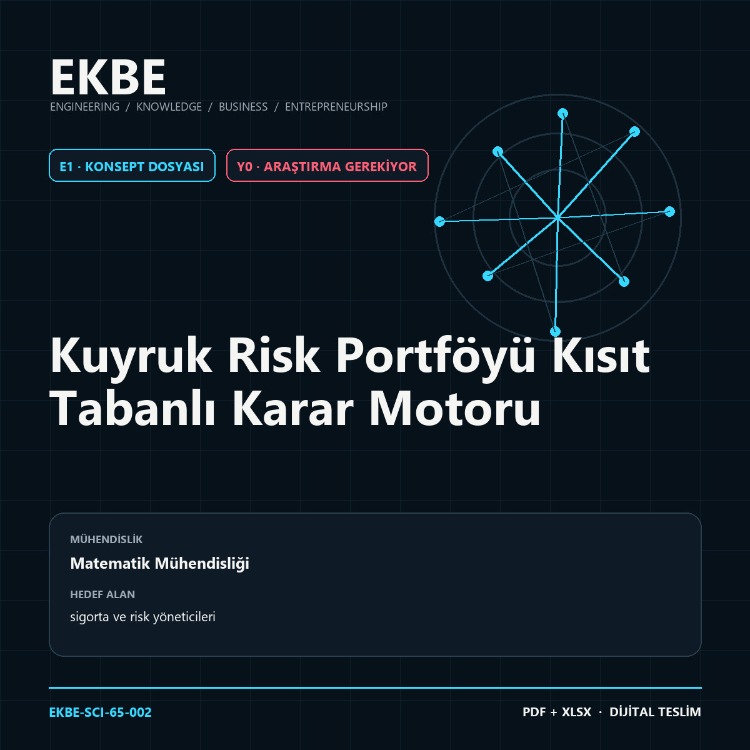 Kuyruk Risk Portföyü Kısıt Tabanlı Karar Motoru