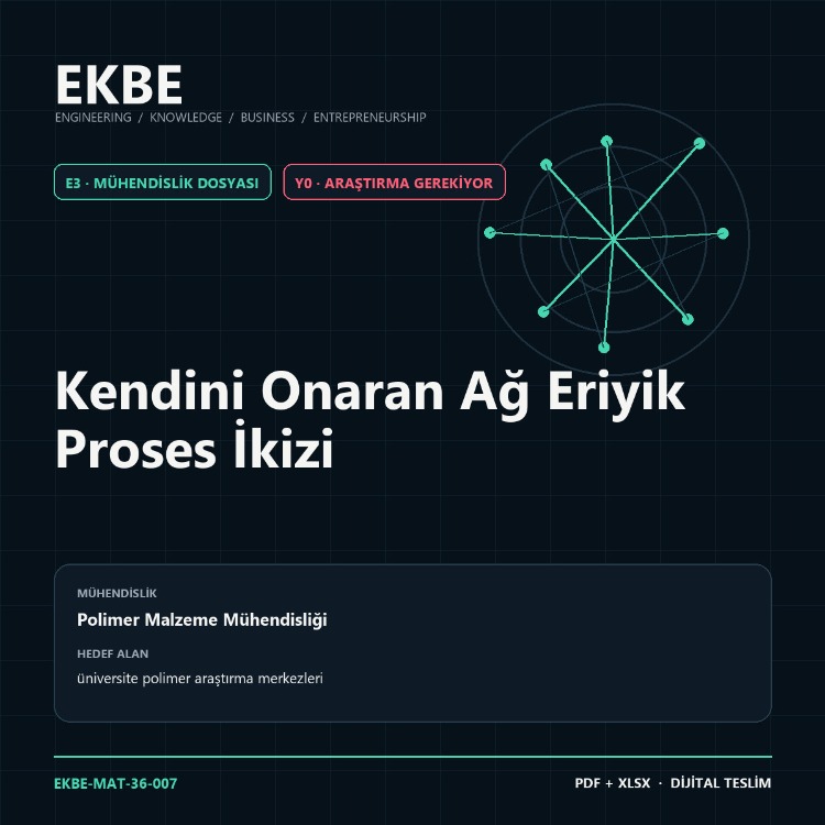 Kendini Onaran Ağ Eriyik Proses İkizi