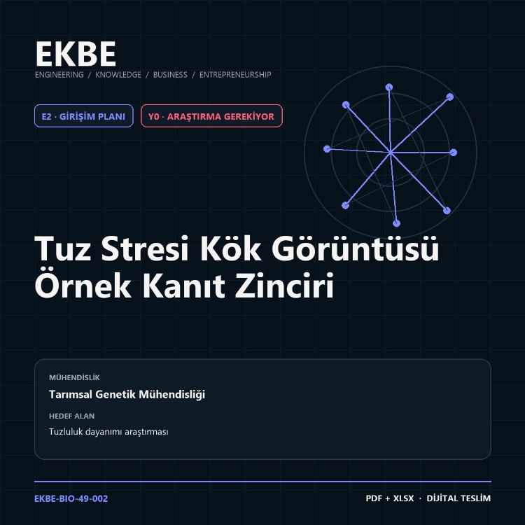 Tuz Stresi Kök Görüntüsü Örnek Kanıt Zinciri