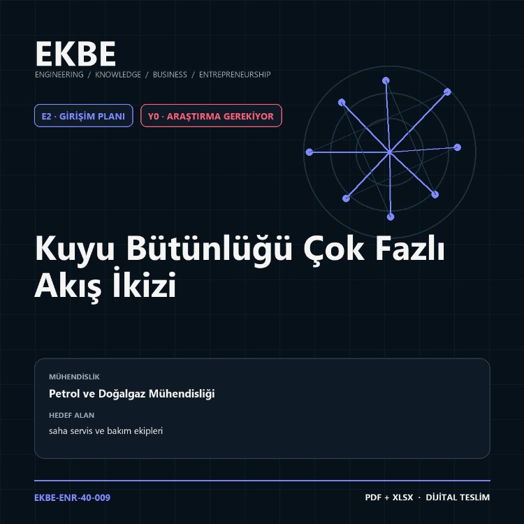 Kuyu Bütünlüğü Çok Fazlı Akış İkizi