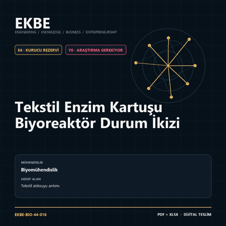 Tekstil Enzim Kartuşu Biyoreaktör Durum İkizi