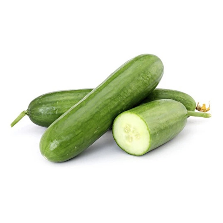 Salatalık