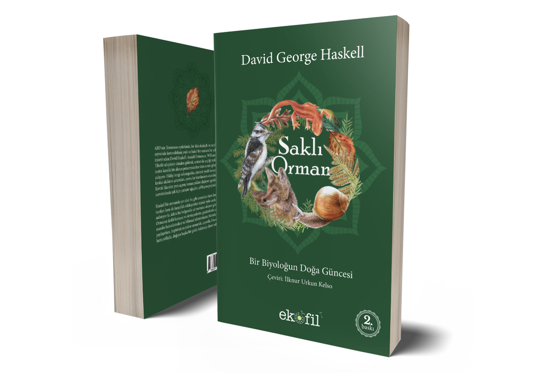 Saklı Orman: Bir Biyoloğun Doğa Güncesi - D. George Haskell - 2. Baskı