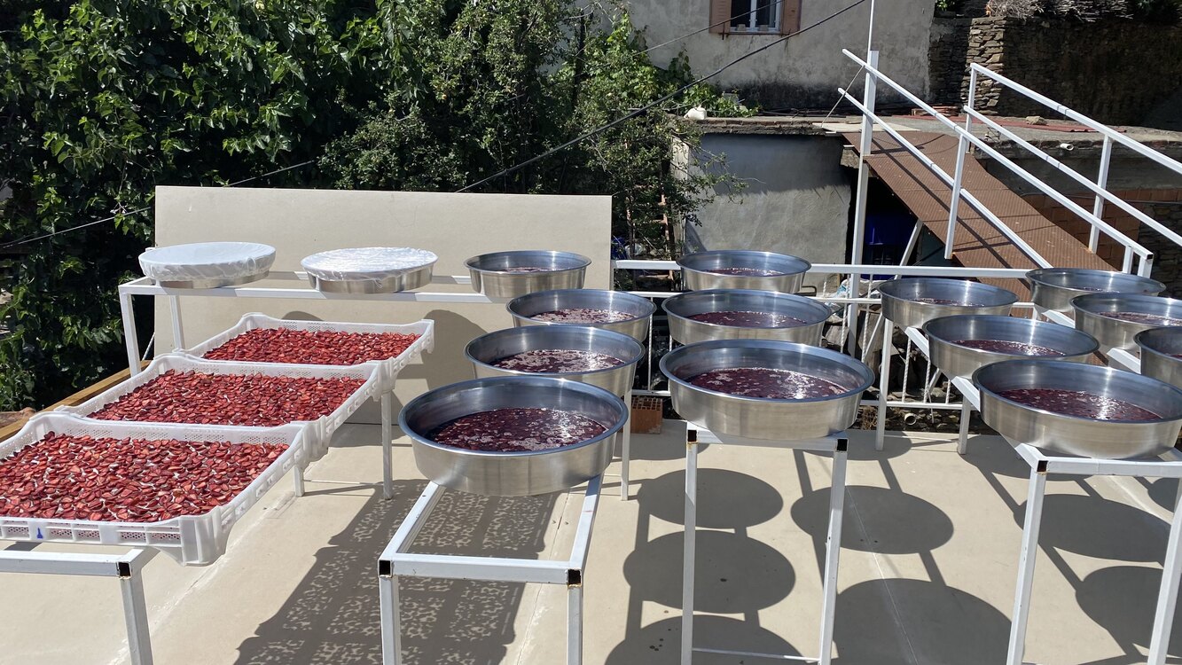 Çilek reçeli 800 gr