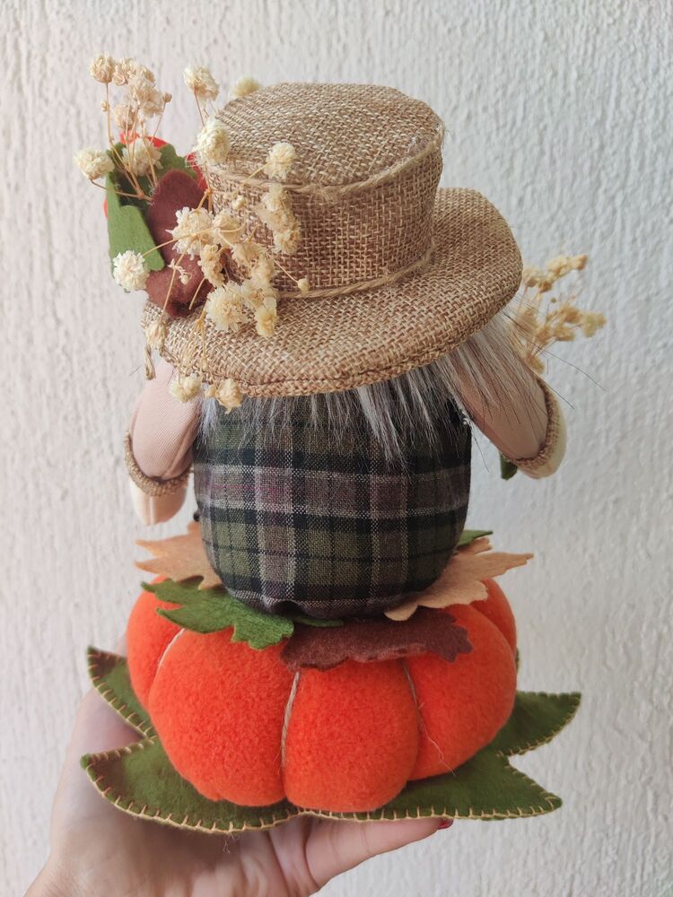 Mr. Pumpkin 